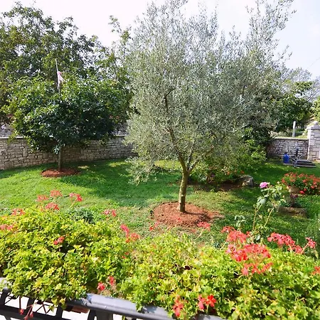 Apartment Garden Maria